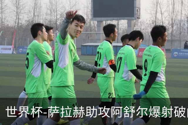 世界杯-萨拉赫助攻阿舒尔爆射破门 埃及半场1-0比利时